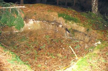 poměrně velká sonda  na jádru tvrziště (© D Dohňanský, 12/2014)