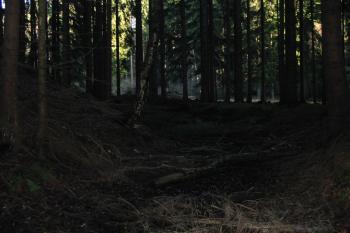 příkop na severu (© D Dohňanský, 01/2016)