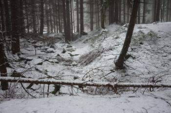 příkop kolem motte na SZ s mohutnými bloky kamenů (© Jan Večeřa, 01/2016)