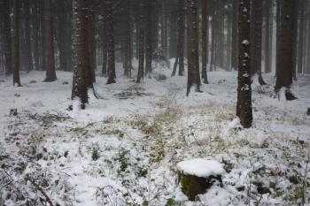 strouha při pohledu k jádru (© Jan Večeřa, 01/2016)