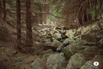Pohled příkopem (© Jaroslav Řezáč 05/2004)