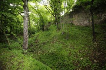 Hradní příkop (© Luděk Vláčil 05/2016)