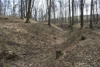  (© Michal Brůža, 03/2011)