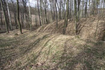  (© Michal Brůža, 03/2011)