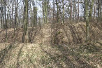  (© Michal Brůža, 03/2011)