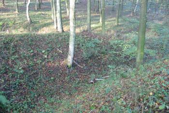 část vnějšího příkopu na severu (© D Dohňanský, 11/2014)