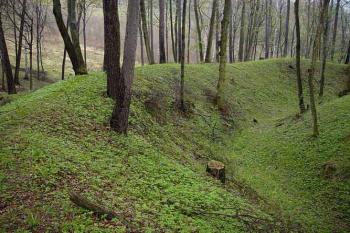  (© Jaroslav Řezáč 2004)
