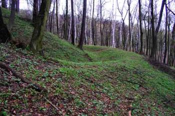 Příkop (© Roman Řezáč 04/2004)