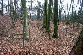  (© D Dohňanský, 03/2014)