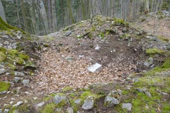 zbytky hradu Babice (© Vlastislav Mareček, 04/2016)