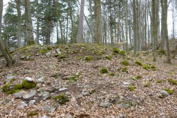 zbytky hradu Babice (© Vlastislav Mareček, 04/2016)