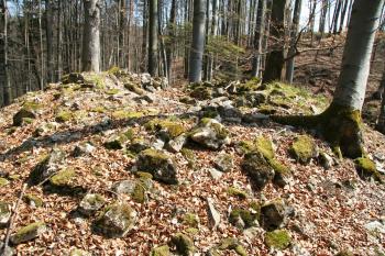Torzo věže ( © Petr Nožička 04/2009)