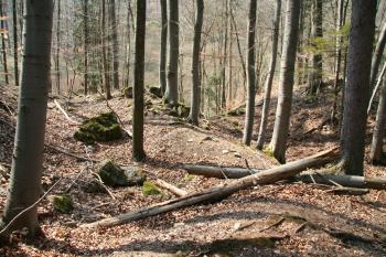 Dvojitý příkop, specifikum místních hradů ( © Petr Nožička 04/2009)