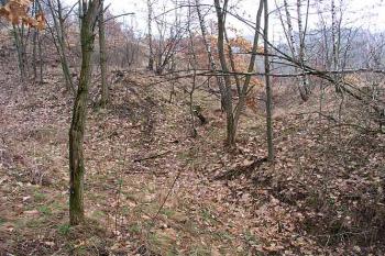 Příkop ( © Roman Řezáč 03/2004)
