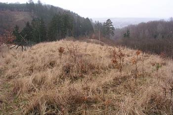 Přední část opevnění ( © Roman Řezáč 03/2004)