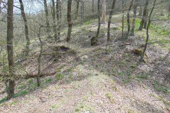 Pohled z jádra přes druhý /vnitřní/ příkop na předhradí (© Dušan Dohňanský  04/2021)