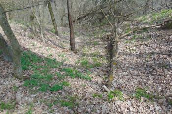 Sev.část druhého příkopu (© Dušan Dohňanský  04/2021)