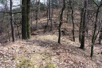 Místo hradu ( © Roman Řezáč 04/2004)