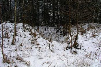 Příkop ( © Roman Řezáč 12/2003)