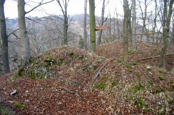 opět dvojitý příkop (© D Dohňanský, 03/2014)