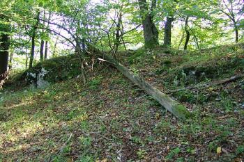 Část sevrní terasy pod jádrem, uprostřed možný vstup ( © Roman Řezáč 09/2005)