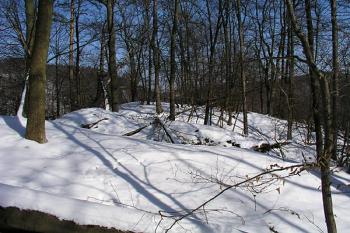 Pohled přes příkopy na čelo hrádku ( © Roman Řezáč 03/2004)