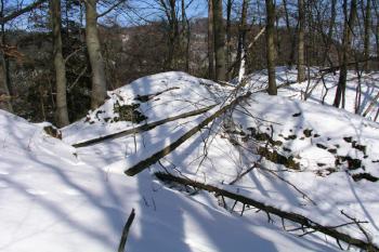 Dvojice příkopů před jádrem ( © Roman Řezáč 03/2004)