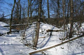 Dvojice příkopů před jádrem ( © Roman Řezáč 03/2004)