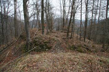 Pohled na hradiště ( © Petr Nožička 03/2009)