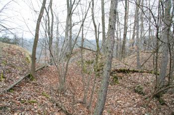 Dvojitý příkop specialita několika místních hradů (© Petr Nožička 03/2009)