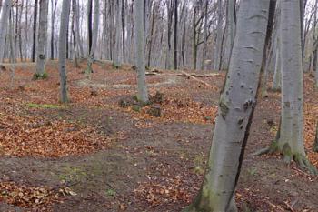  (© Jaroslav Řezáč 2004)