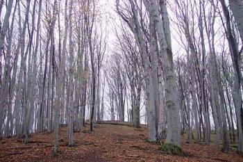  (© Jaroslav Řezáč 2004)