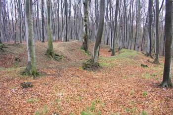  (© Jaroslav Řezáč 05/2004)