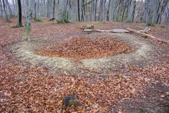  (© Roman Řezáč 2004)