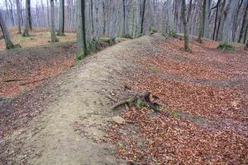  (© Roman Řezáč 2004)