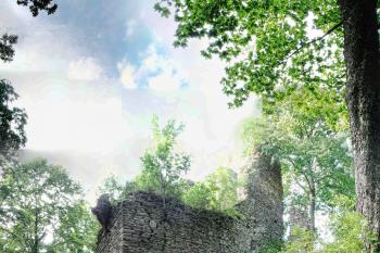 Pajrek 25.8. 2014 (© Emanuel Toman, 03/2015)