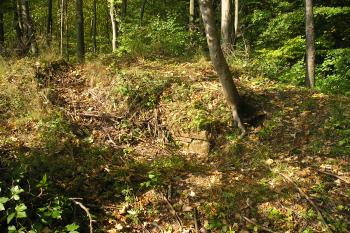 zřícenina hradu Plankenberk (© Vlastislav Mareček, 09/2009)