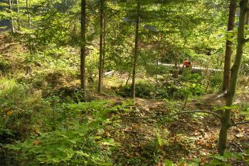 zřícenina hradu Plankenberk (© Vlastislav Mareček, 09/2009)