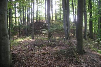 zřícenina hradu Plankenberk (© Vlastislav Mareček, 09/2009)