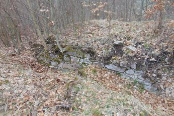 Vnější stěna hlavního paláce tvořící plnící pravděpodobně funkci plášťové zdi (© Dušan Dohňanský  04/2021)