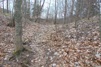 Brána se vstupem do parkánového prostoru vlastního hradu (© Dušan Dohňanský  04/2021)