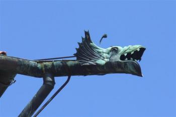 chrlič (© zdeněk komínek, 7/2009)