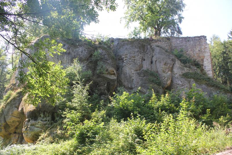 Pařez Pařez