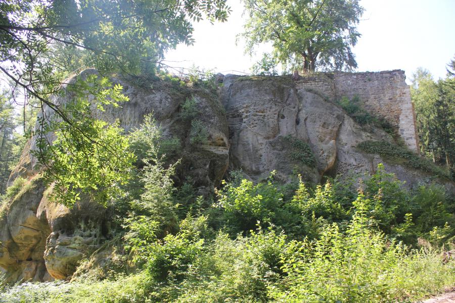  Pařez