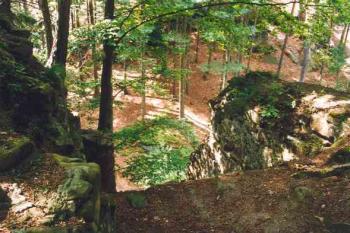Pohled na vnitřek věže na východě (2003 ©Petr Šantrůček)