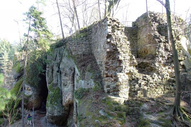 Pařez