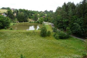 Pařez (© MarcoRave, 07/2008)