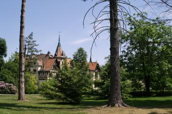  ( © Luděk Vláčil 06/2013)