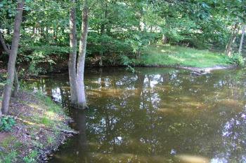 Zatopená část tvrze ( © Roman Řezáč 08/2004)