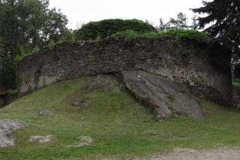  (© Michal Brůža, 06/2011)
